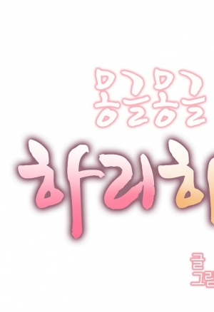 Пансион «Хахрис» 4