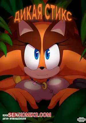 Sonic The Hedgehog. Дикая Стикс. NyuroraXBigdon