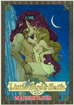 Legend of Zelda. Купальня маленькой птички. Little Birds Bath. WintonKidd