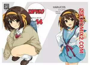 Харуко 14. Часть 1. Harucos 14. Haruhisky