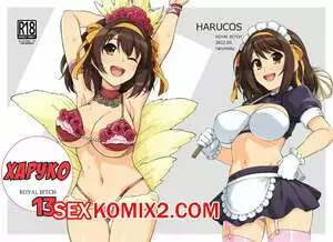 Харуко 13. Часть 1. Harucos 13. Haruhisky