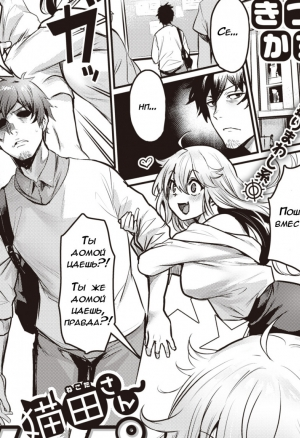 Ловушка Некото-Сан