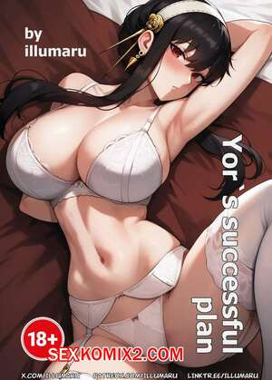 Spy x Family. Успешный план Йор. Yors successful plan. illumaru.