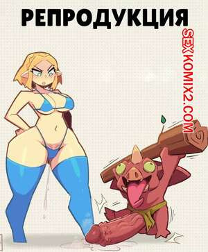 The Legend of Zelda. Репродукция. Reproduction. Pixzapix