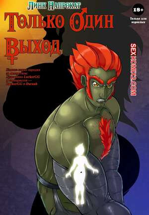 The Legend Of Zelda. Линк Напрокат. Только Один Выход. LurkerGG