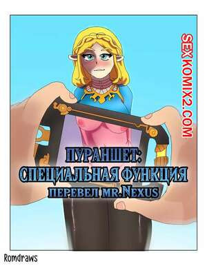 Зельда. Пураншет. Специальная функция