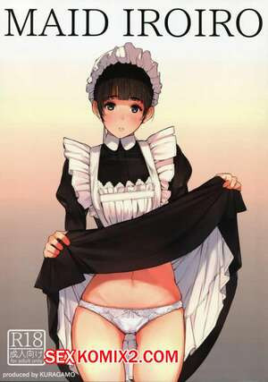 Ежедневно разные дела. Maid Iroiro. 