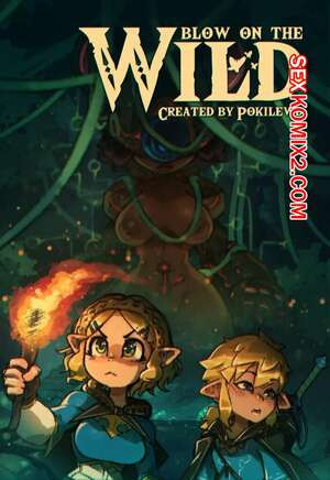 Legend Zelda. Дыхание дикой природы. Blow on the wild. PokiLewd