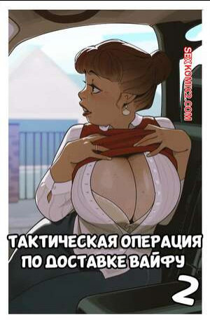 Тактическая операция по доставке вайфу. Часть 2. InCase.