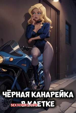 DC. Черная канарейка в клетке. The Black Canary in the Cage. Electrickink.