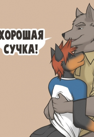 Хорошая сучка