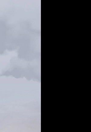 Двое новеньких