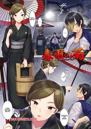 Хризантема весеннего дождя. The Chrysanthemum of the Spring Rain. Urute