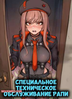 Специальное техническое обслуживание Рапи. Rapis Special Maintenance. Aibby.