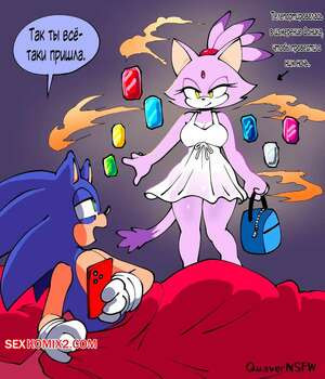 Sonic The Hedgehog. Ночь в его измерении. QuaverNSFW