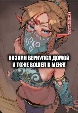 Legend Zelda. Хозяин вернулся домой и тоже вошел в меня. Amadeus V.