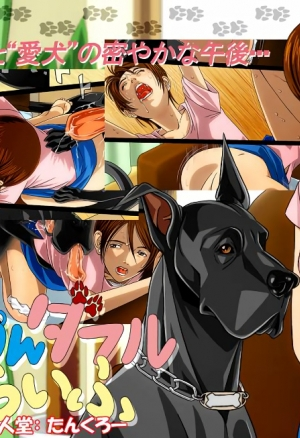 “Wonderful Life” ~Shufu to “Aiken” no Hisoyaka na Gogo~