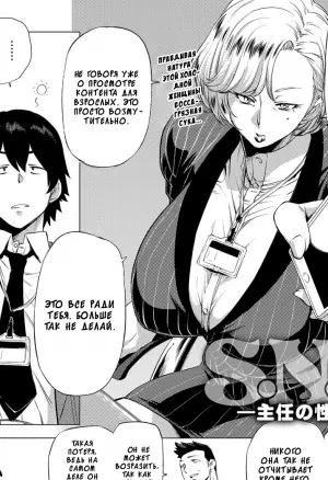 S.N.S. -Shunin No Seiheki-