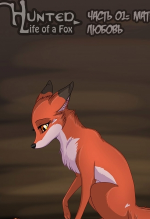 Hunted Life of a Fox