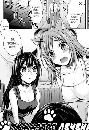 Пушистое лечение