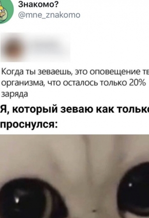 Сегодня без дрочки