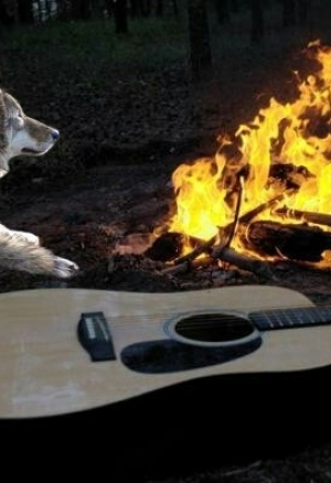 Поиграй со мной  (2 часть)