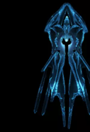 Оправдан по всем обвинениям