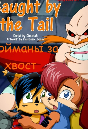 Пойманы за хвост