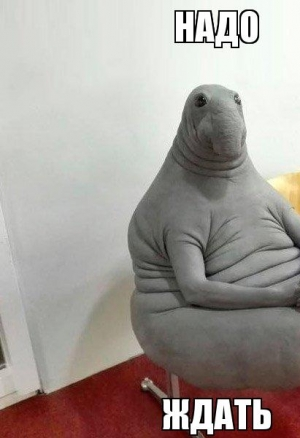 Игривый Котёнок