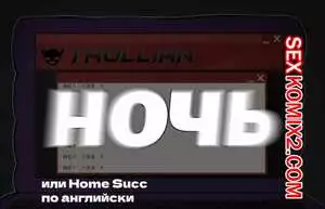 Ночь. Home Succ. Darky